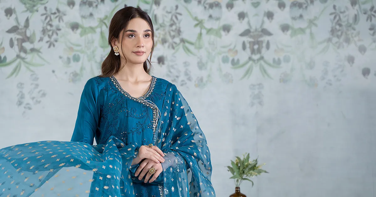 3 Piece Embroidered Net Suit | DW-EA24-49